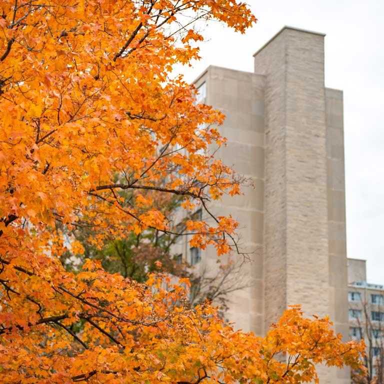 Exterior view of Forest Quadrangle from behind some Fall foliage.