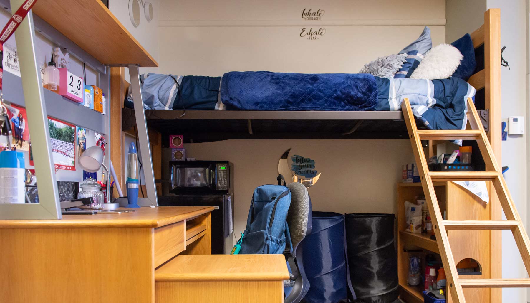 A lofted bed in a dorm room.